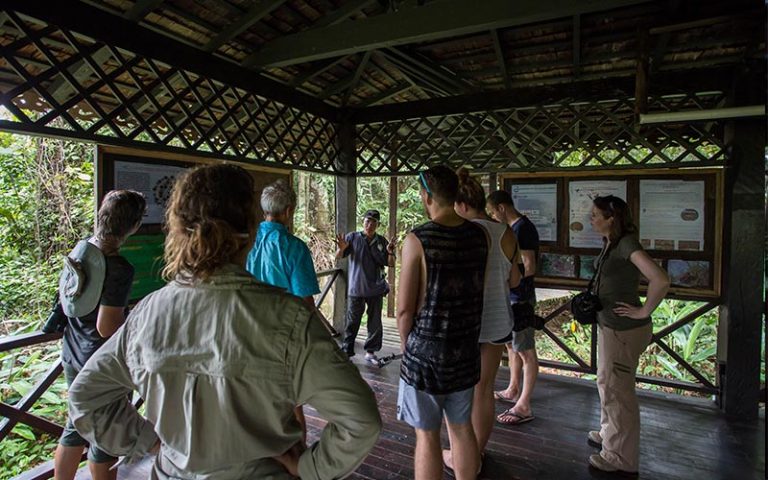 Rooms And Facilities - Sukau Rainforest Lodge